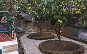 Oparavisegenova